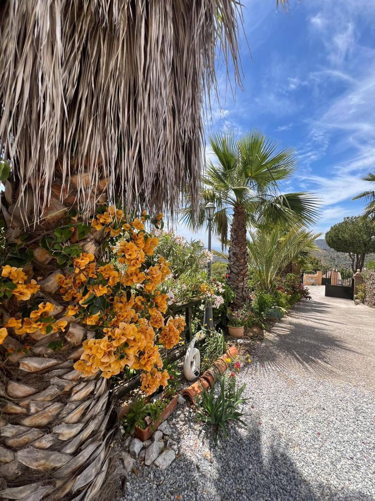 Los Olivos Μάλαγα Εξωτερικό φωτογραφία