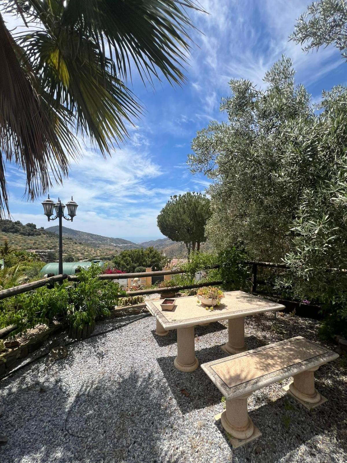 Los Olivos Μάλαγα Εξωτερικό φωτογραφία